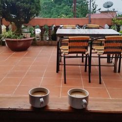 Close-up of food on table