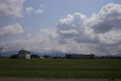 Houses on field against sky