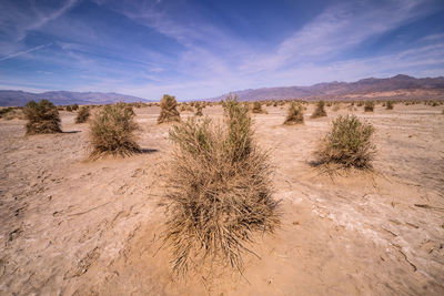 Scenic view of desert against sky