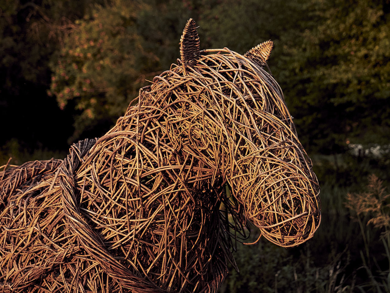 CLOSE-UP OF FISHING NET ON TREE