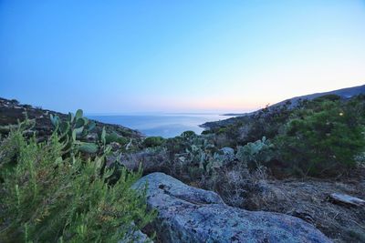 Scenic view of landscape against clear sky