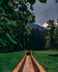 Empty road amidst trees on field against sky