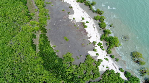 High angle view of sea shore