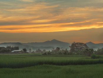 Scenic view of field against sky during sunset