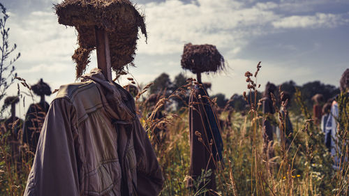 Close-up of scarecrows on agricultural field