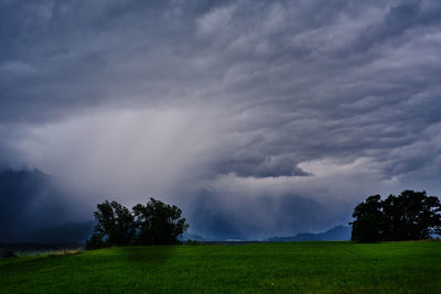 Scenic view of trees on field against sky