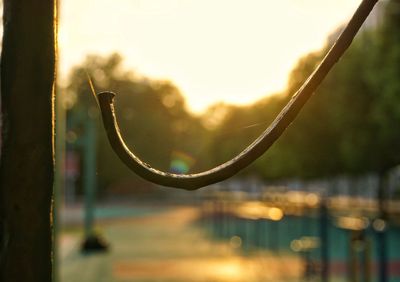 Close-up of water at sunset