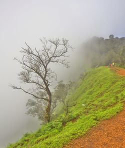 Kodachadri hill top where the ground raises to touch the clouds