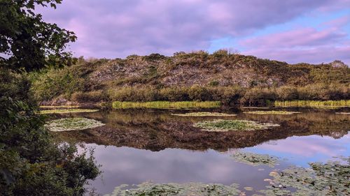 Reflection of trees in lake against sky