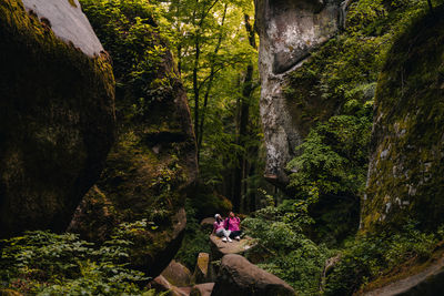 Rear view of woman standing on rock