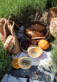 Summer picnic on a lavender field with champagne glasses and fruits