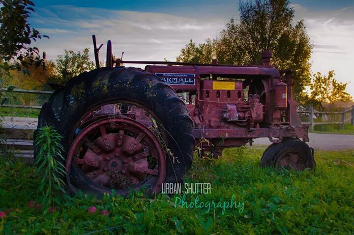 grass, tree, building exterior, text, sky, architecture, built structure, plant, western script, mode of transport, outdoors, field, transportation, day, old, land vehicle, abandoned, communication, no people, growth