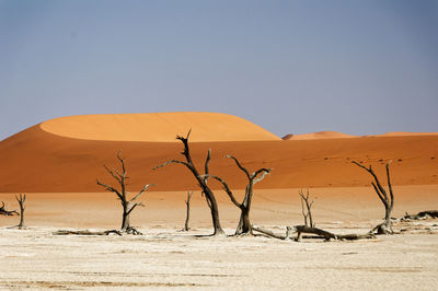 Scenic view of desert against clear blue sky