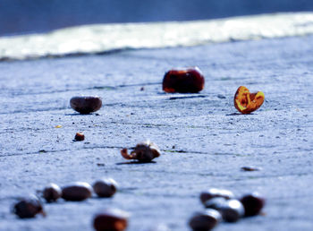 Close-up of fruits on table