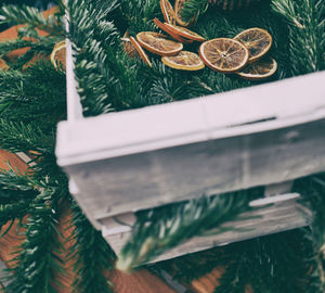 Close-up of christmas tree