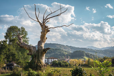 Scenic view of tree mountains against sky