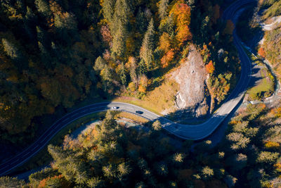 High angle view of road amidst trees during autumn