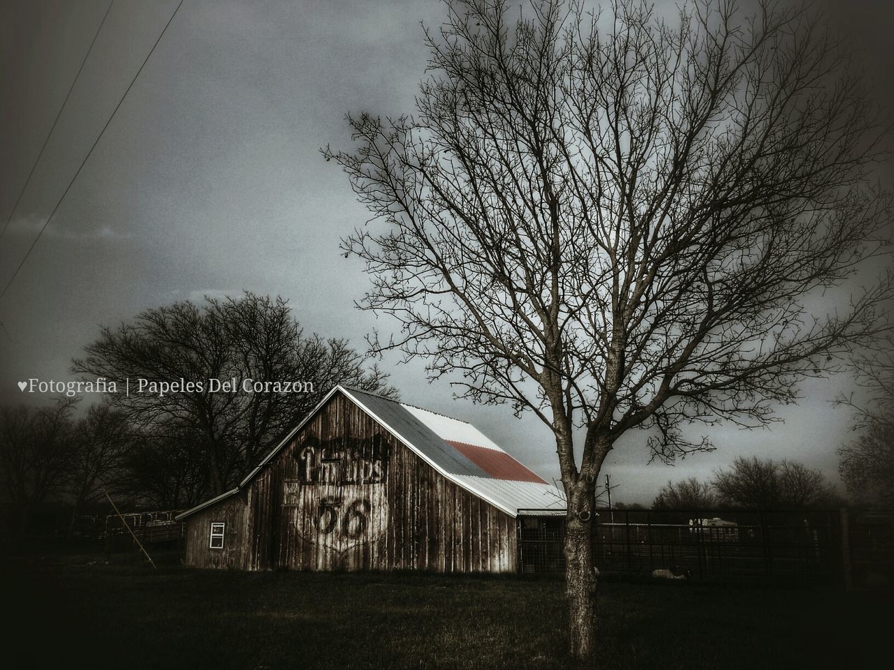 Barn Treasures