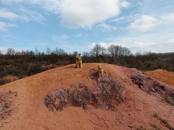 Man standing on rock against sky