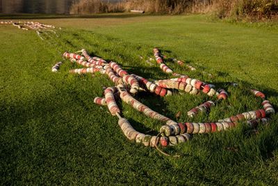 High angle view of people lying on grass