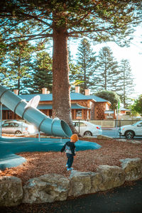 Low angle view of trees