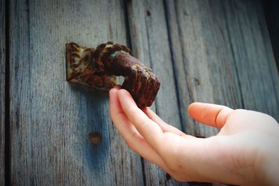 Close-up of hand holding bread