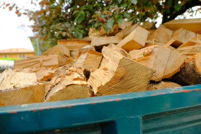 A cargo of firewood.