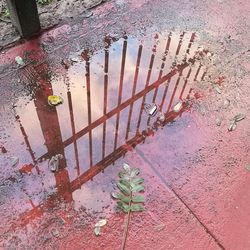 High angle view of puddle on wet street