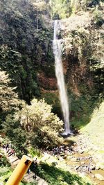 Scenic view of waterfall in forest