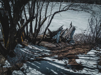 Bare trees on frozen lake during winter