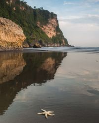 Scenic view of sea and rocks