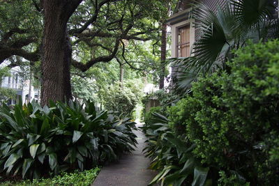 Walkway leading to footpath