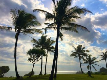 Low angle view of palm trees on beach against sky