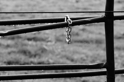 Close-up of metallic fence in a rainy day