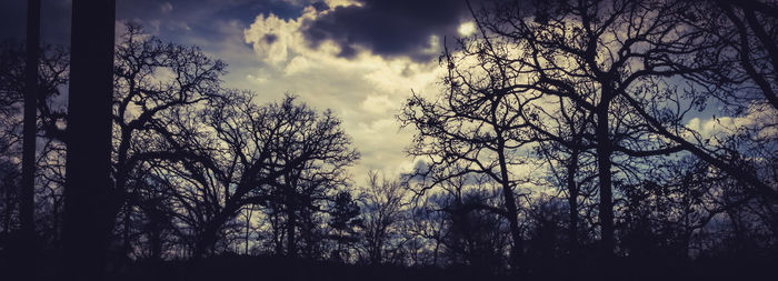 Silhouette trees in forest against sky