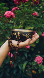 Close-up of woman hand holding flowering plants