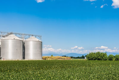View of agricultural field against blue sky