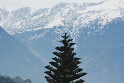 Scenic view of tree mountains against sky