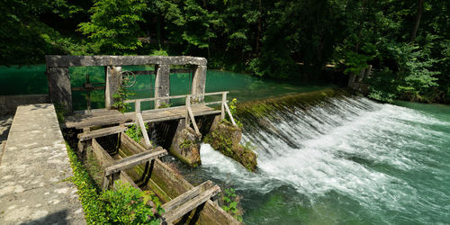 Scenic view of river flowing in forest