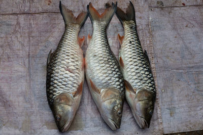 High angle view of fish in market