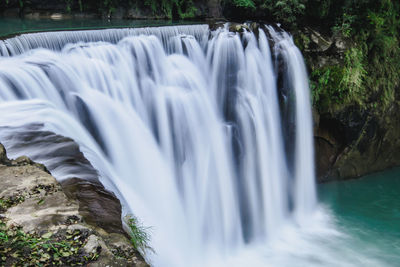 Scenic view of waterfall in forest