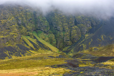 Scenic view of landscape during foggy weather