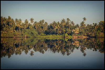 Reflection of trees in lake against clear sky