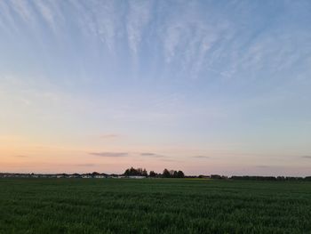 Scenic view of field against sky during sunset