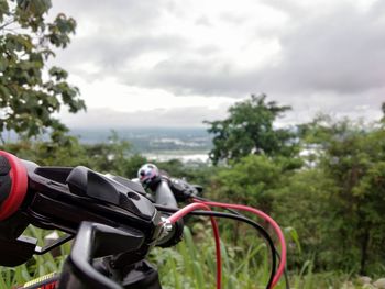 Man riding bicycle on plants