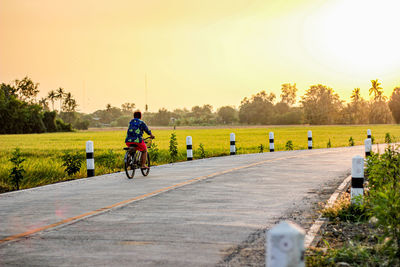 Rear view of man riding bicycle on road against sky during sunset