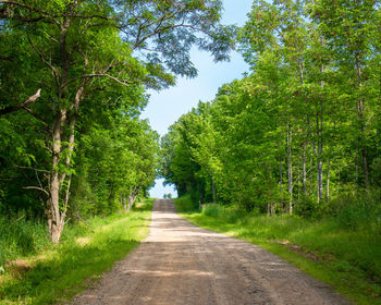 Road amidst trees in forest against sky