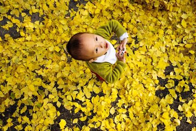 High angle view of child on autumn leaves