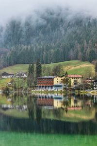 Scenic view of lake by trees