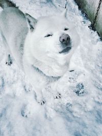 Snow covered field